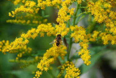 Similar image 21554266