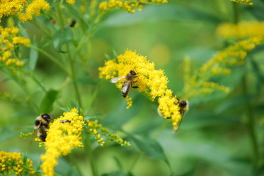 Similar image 21554267