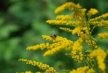 Similar image 21554221