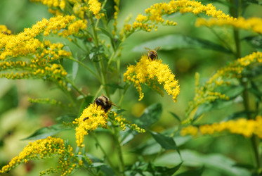 Similar image 21554223