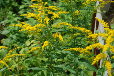 Similar image 21554226