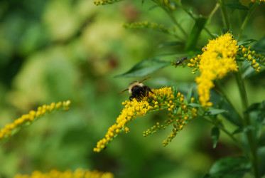 Similar image 21554231