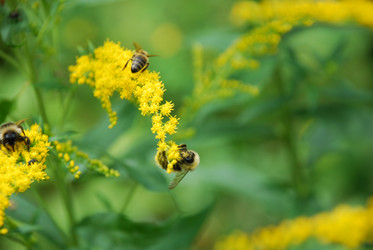 Similar image 21554232