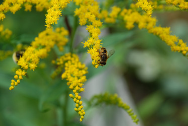 Similar image 21554234