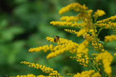 Similar image 21554235