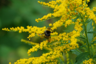 Similar image 21554236