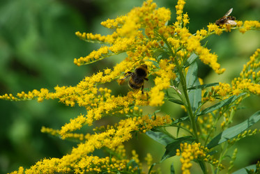 Similar image 21554237