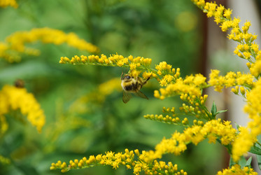 Similar image 21554238