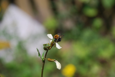 Similar image 21554240