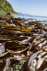 Similar image 21554624