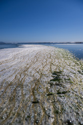 Similar image 21554729