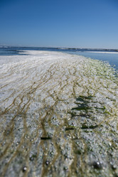 Similar image 21554730