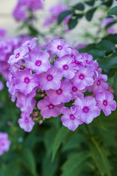 Similar image 21554732