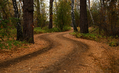 Similar image 21554102