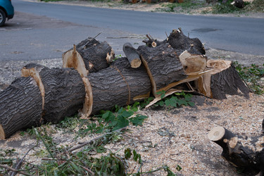 Similar image 21554104