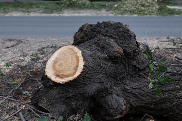 Similar image 21554106