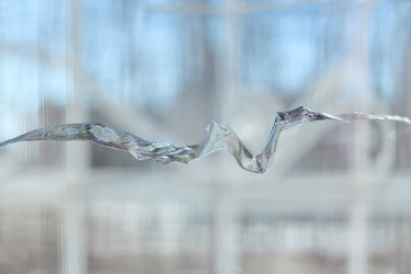 Similar image 21554739