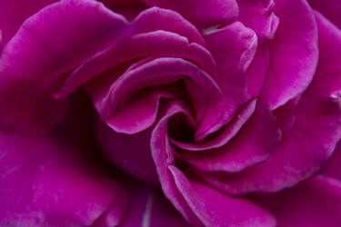 Similar image 21555170