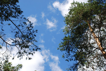 Similar image 21554342