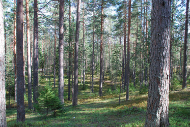 Similar image 21554344