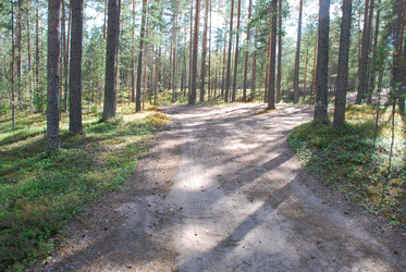 Similar image 21554346