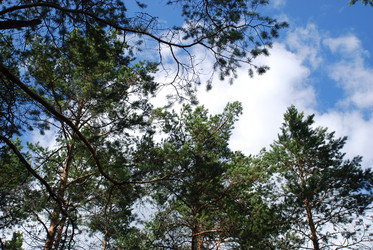 Similar image 21554350