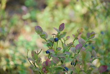 Similar image 21554351