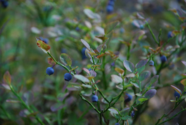 Similar image 21554354