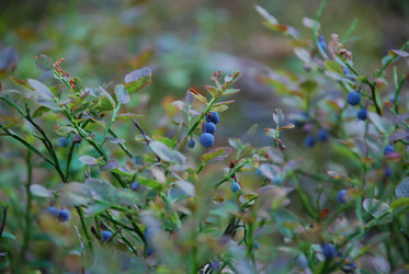 Similar image 21554355