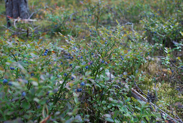 Similar image 21554357