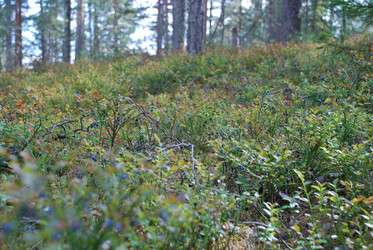 Similar image 21554358