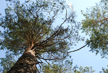 Similar image 21554359