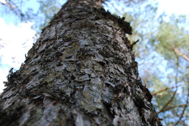 Similar image 21554360