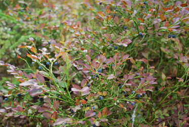 Similar image 21554361