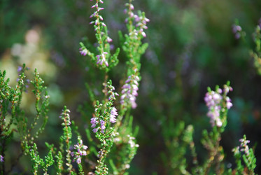 Similar image 21554363