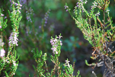 Similar image 21554364