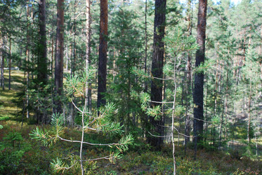 Similar image 21554365