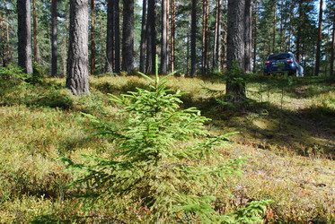 Similar image 21554366