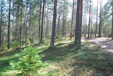 Similar image 21554367