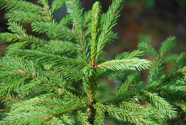 Similar image 21554368