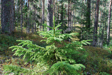 Similar image 21554369