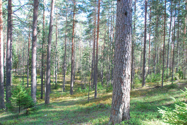 Similar image 21554370