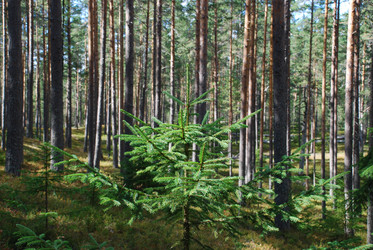 Similar image 21554371