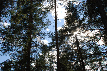 Similar image 21554372