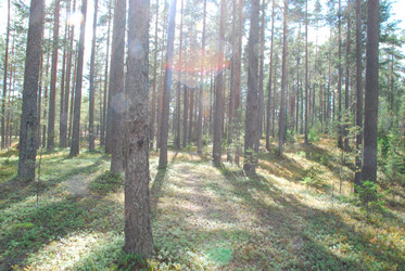 Similar image 21554374