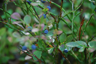 Similar image 21554376