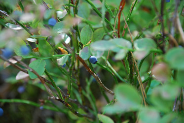 Similar image 21554377