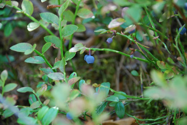 Similar image 21554378