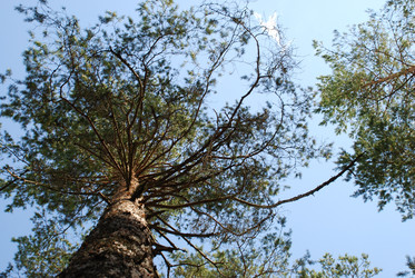 Similar image 21554379