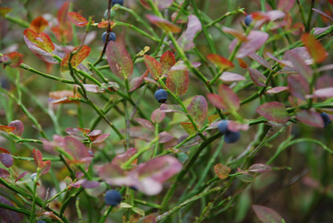 Similar image 21554380